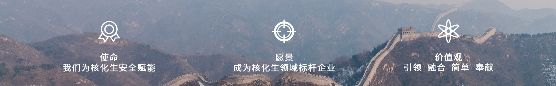 企业使命